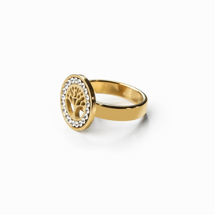 Anel raízes eternas Banhado em Ouro 18K